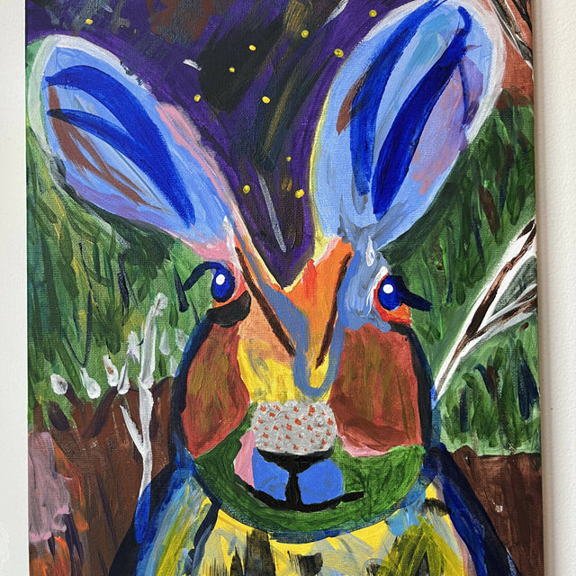 Rabbit 27