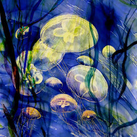 Jellies