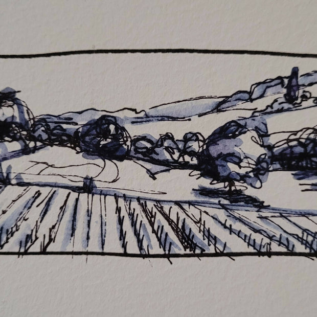 FIELD IN UMBRIA