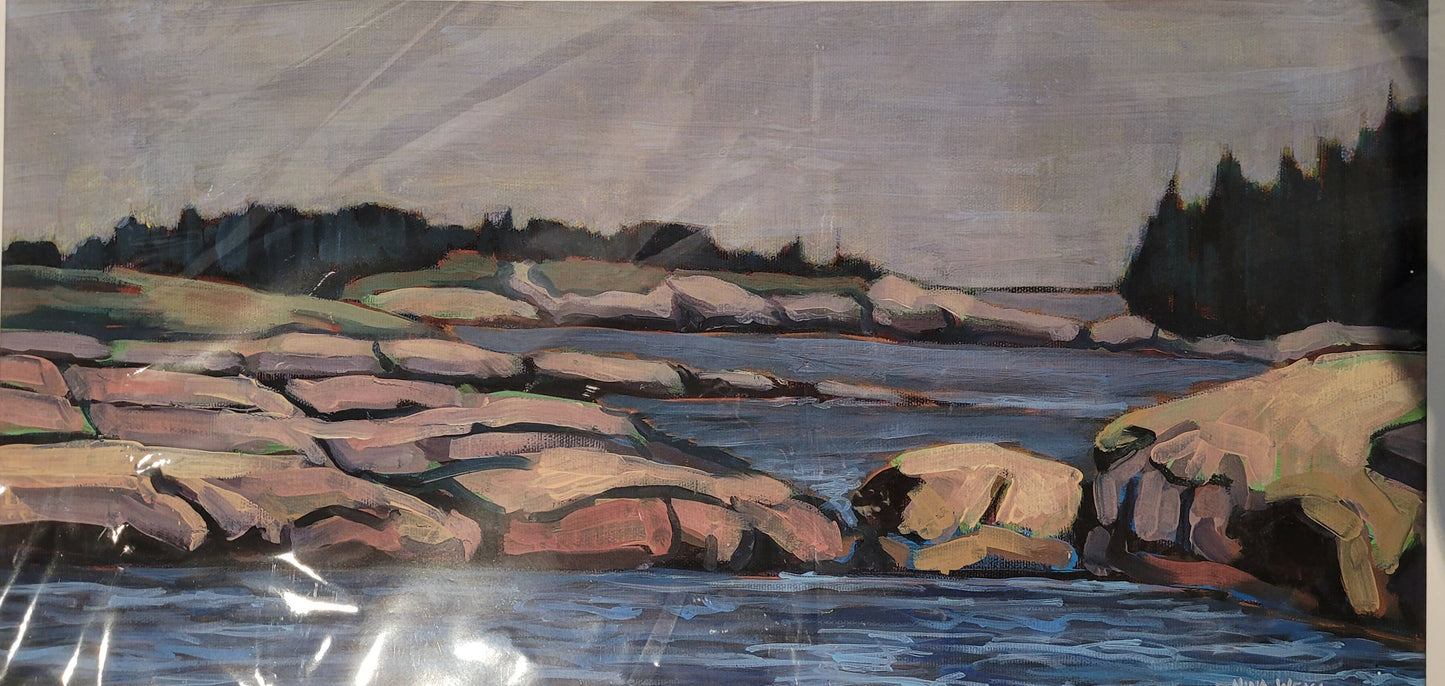 ROCKS ON SCHOODIC PENINSULA