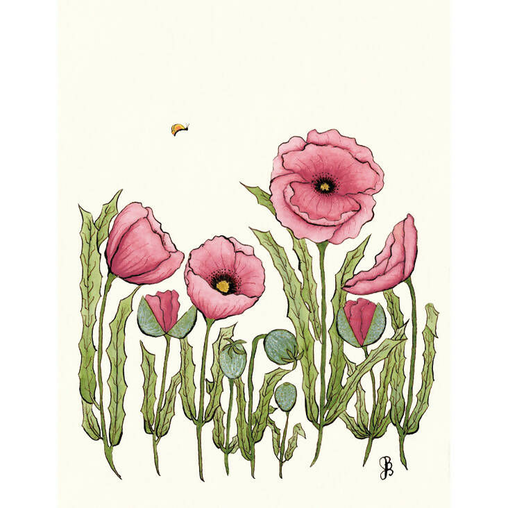 Pink Poppies for web