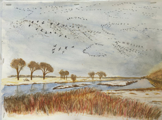 Spring Migration - Prairie Series