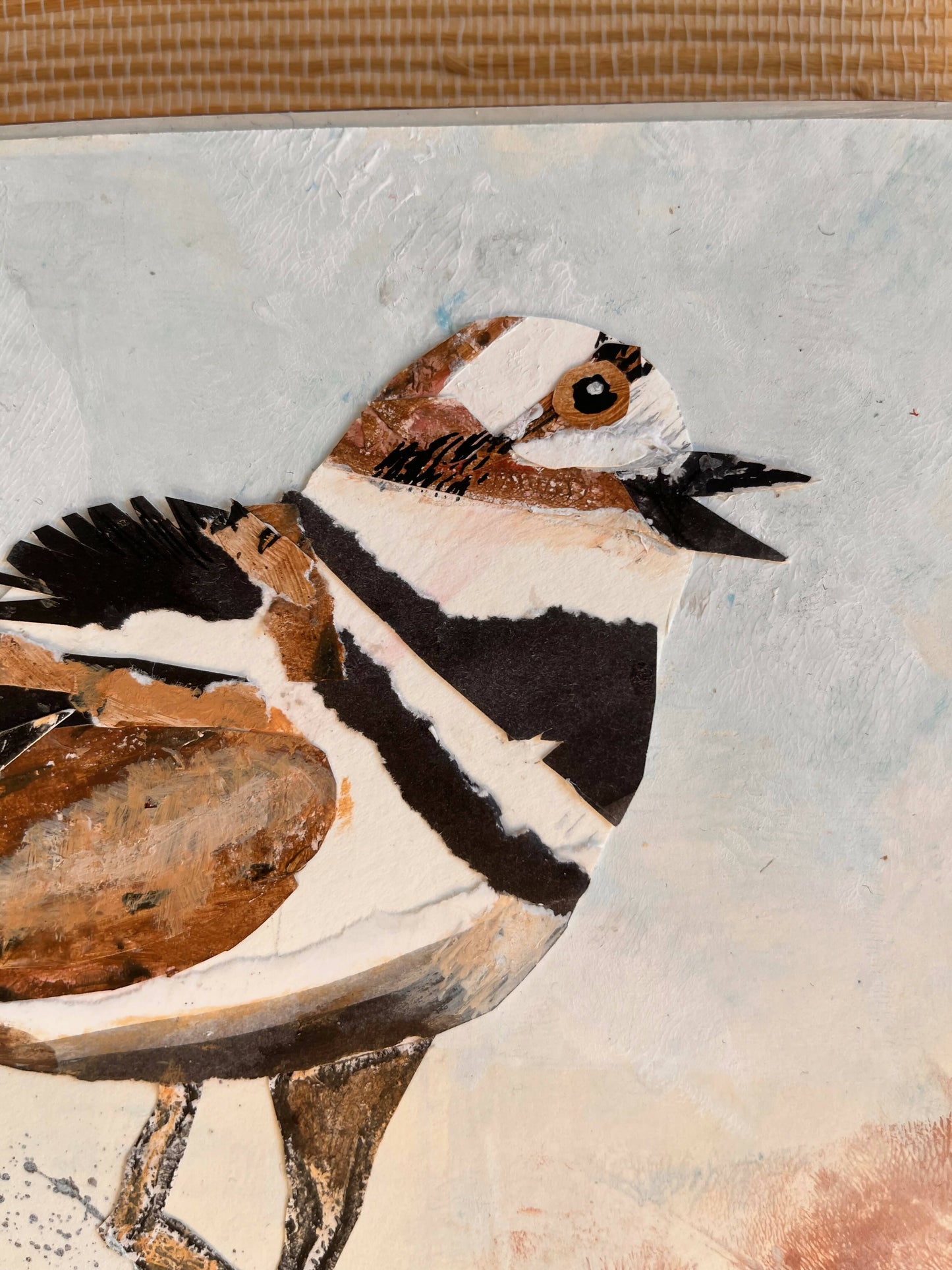 Killdeer Bird Collage