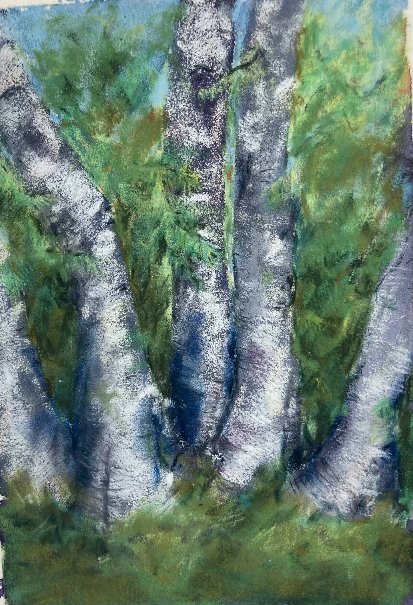 Birches note card