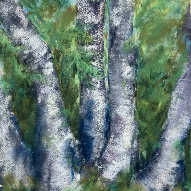 Birches note card
