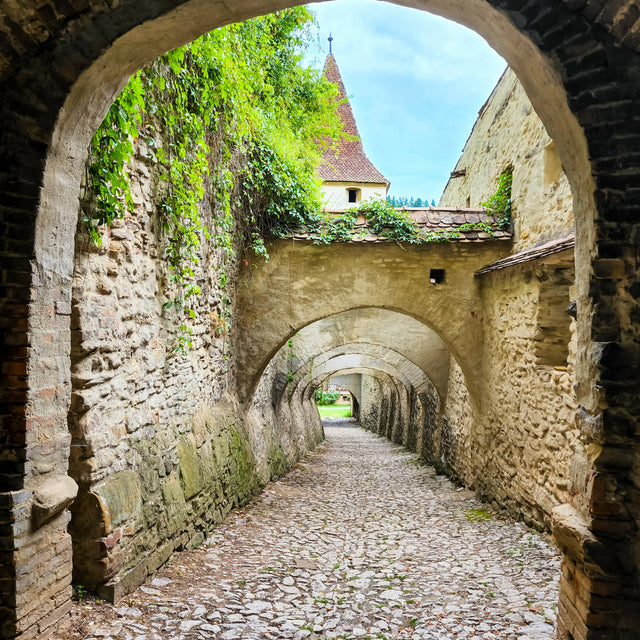 Old Times of Transylvania ( Biertan Fortified Church -UNESCO Heritage)