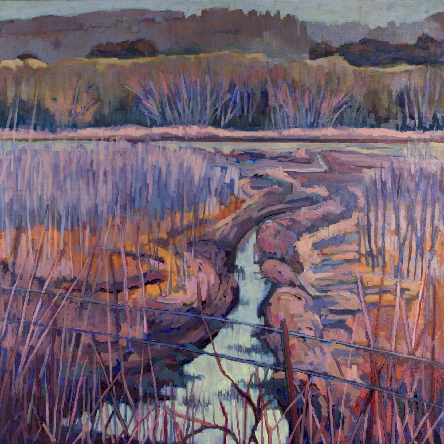 CALIFORNIA MARSH