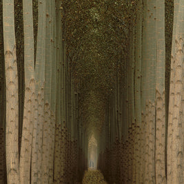 Cathedral Trees