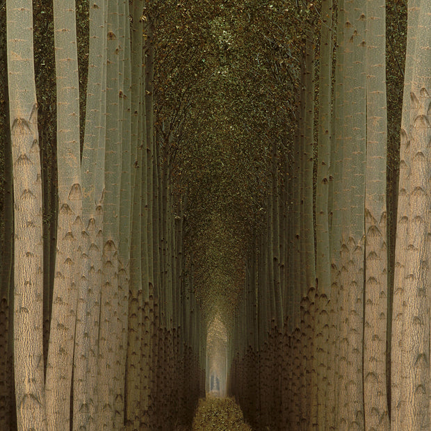 Cathedral Trees