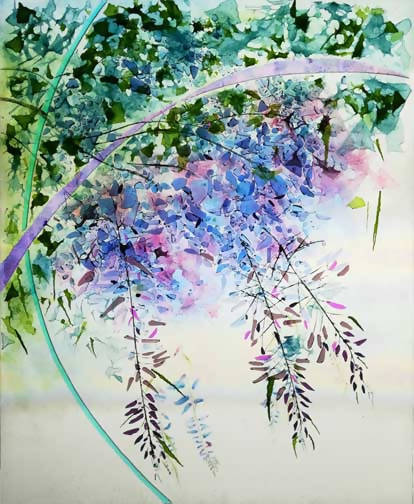 Wisteria