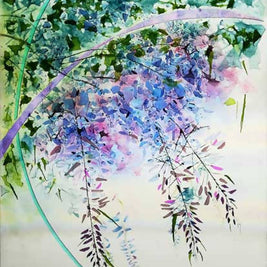 Wisteria