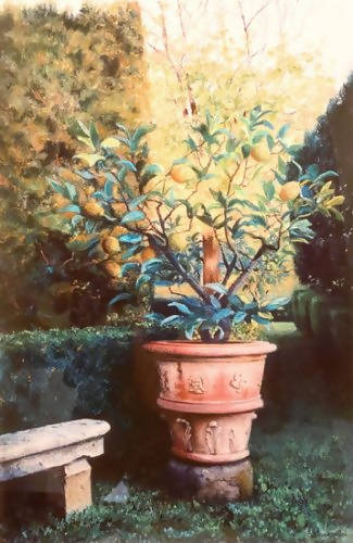 Lemon Tree & Bench - framed giclee print