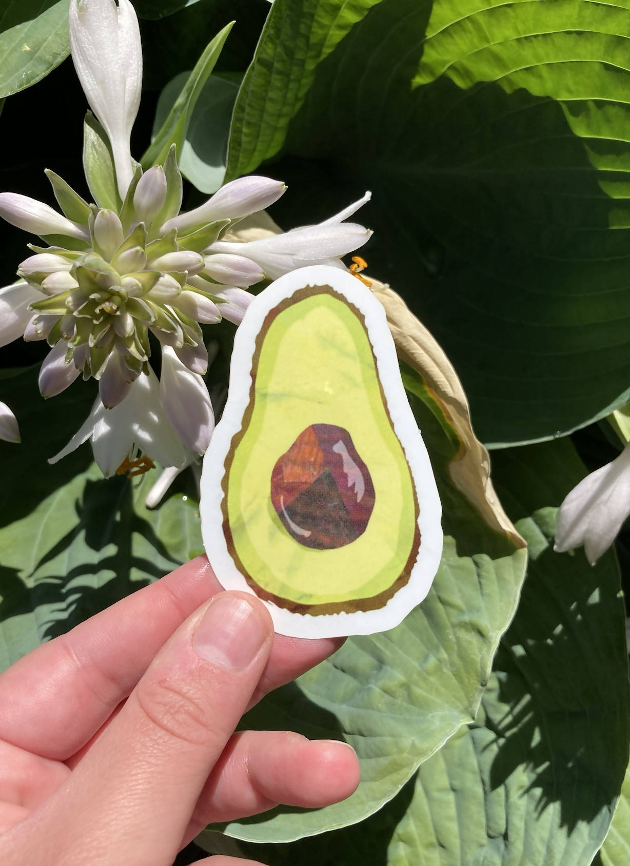 Avocado Sticker