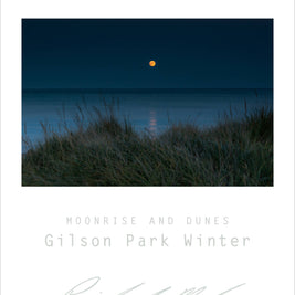 Sweetwater Seas Fine Art Poster - Lake Michigan, Gilson Park Moonrise & Grass