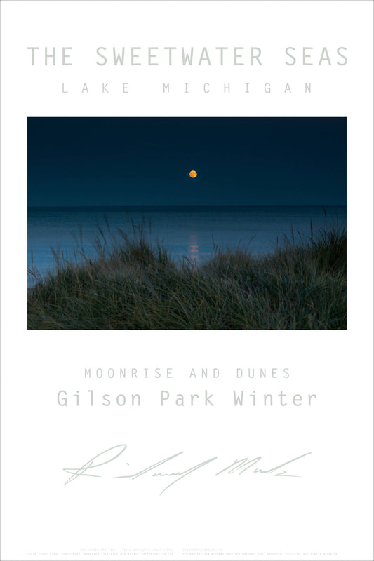 Sweetwater Seas Fine Art Poster - Lake Michigan, Gilson Park Moonrise & Grass