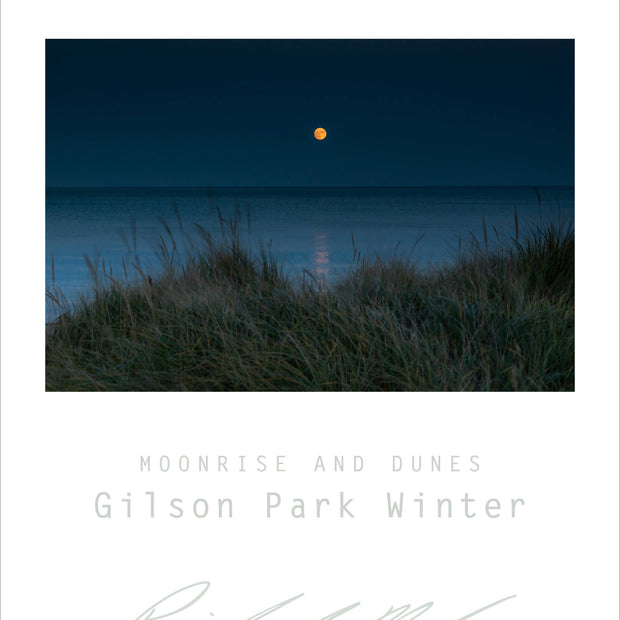 Sweetwater Seas Fine Art Poster - Lake Michigan, Gilson Park Moonrise & Grass
