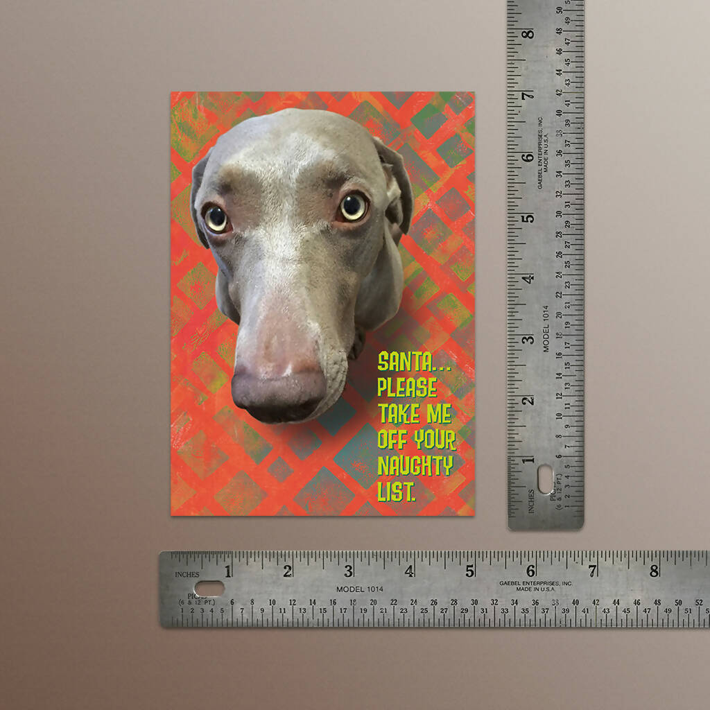 Christmas Cards, Naughty Weimaraner