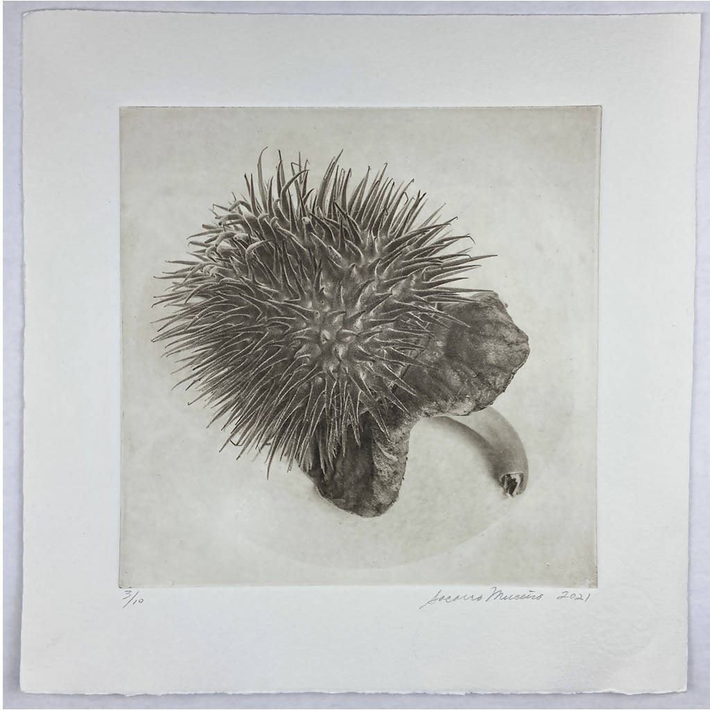 Framed “Jimson Weed I” Photogravure Print.