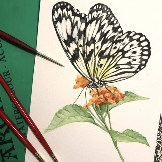 Paper Kite Butterfly Watercolor Painting