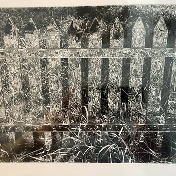 MURPHY BIN ART/ mirror fence