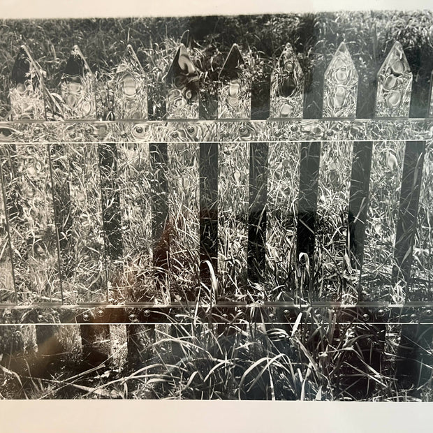 MURPHY BIN ART/ mirror fence