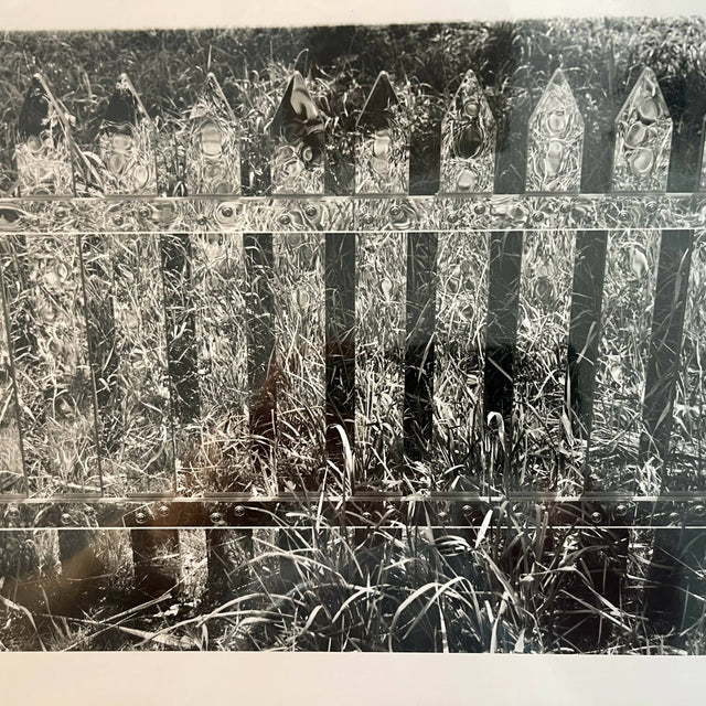 MURPHY BIN ART/ mirror fence