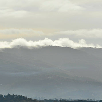 Rolling Fog