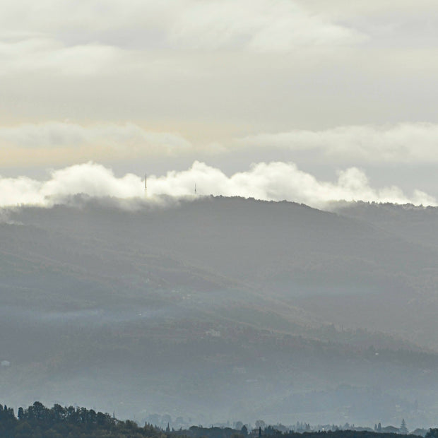 Rolling Fog