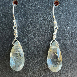 Drops of Goodness Earrings in Sterling Silver DOGERS