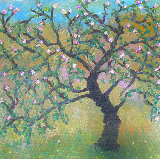 Apple blossomed tree